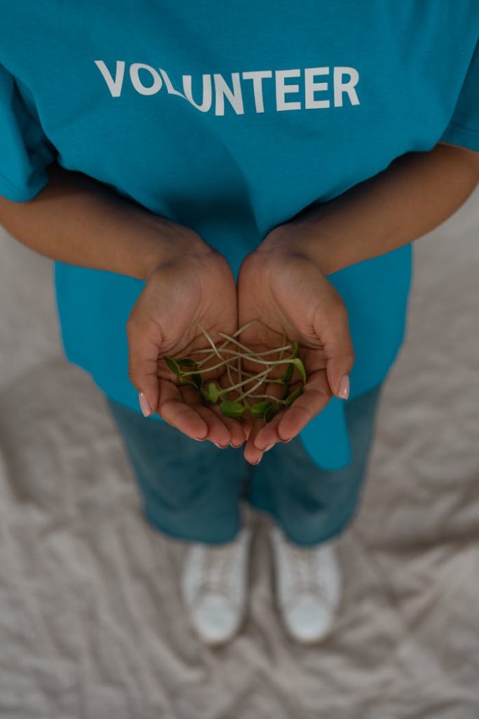 Person wearing a blue volunteer shirt holds green seedlings in cupped hands, symbolizing growth and service.